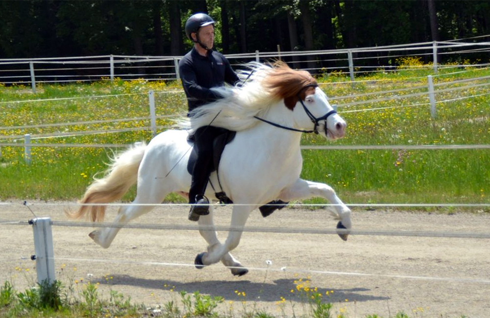 FIZO Radegund: Árvakur, Óskabyr, Stormur top