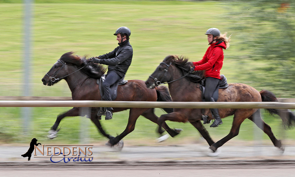 Móarbær: Renn-Gold an Katrin (P3) und Dario (P1)