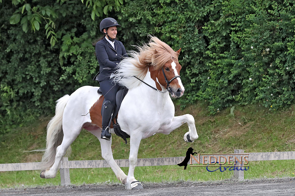 Hirtenhof: Flurina toppt T1, FUT-Gold für Jolly/Húni