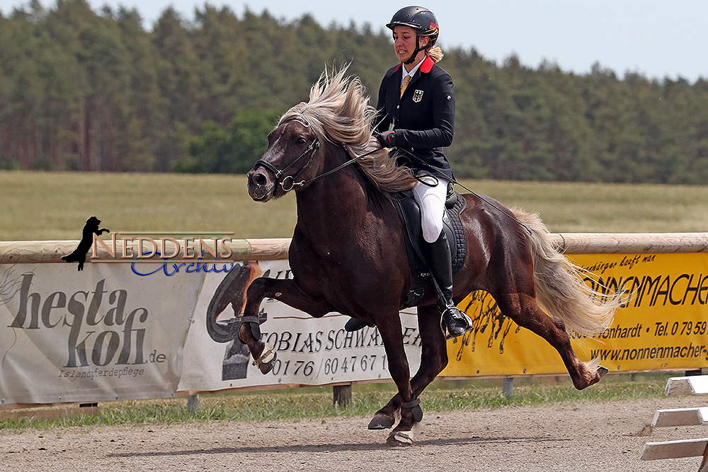 DJIM-Spitzen für Leonie (F1), Elfa (T7) und Lena (T4)