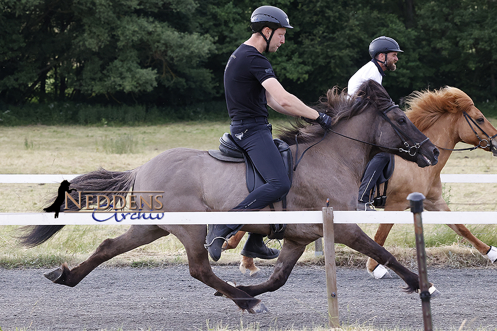 Alex und Horst nach 50% in den Rennen vorn