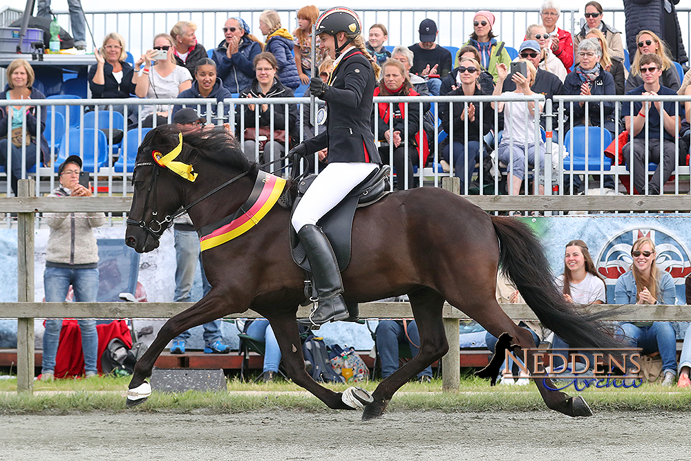 DIM: Frauke und Jódís gewinnen den V1-Titel