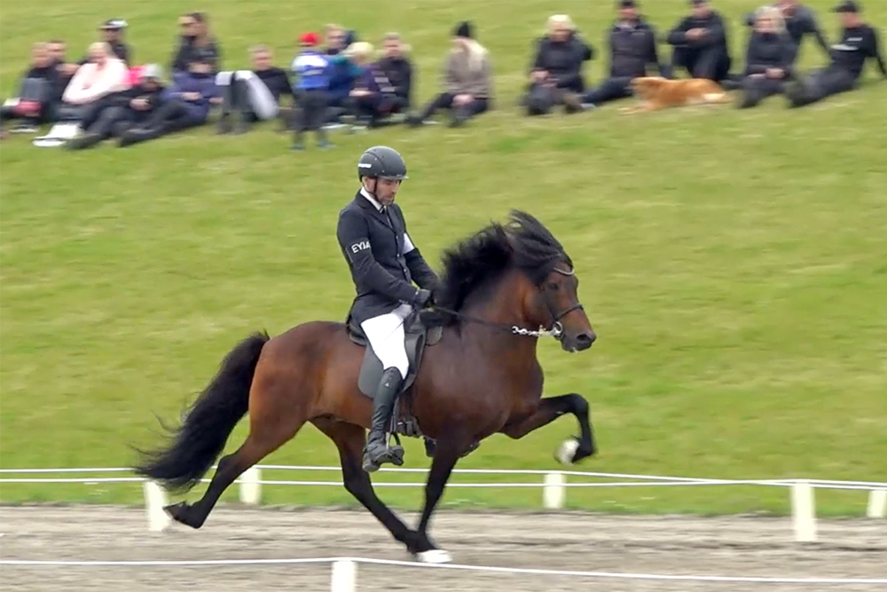 Árni Björn & Jakob holen ÍM-Titel in T1 & T2 / Vid.