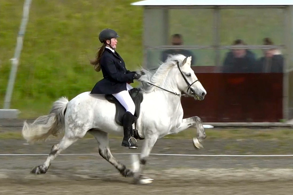 LM: Video-Highlights der besten 3 in K und J