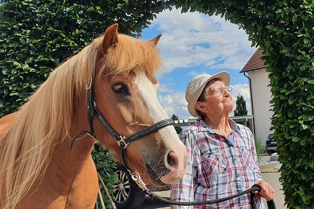 Lixhof-Pferde schenken Senioren Sonnenschein