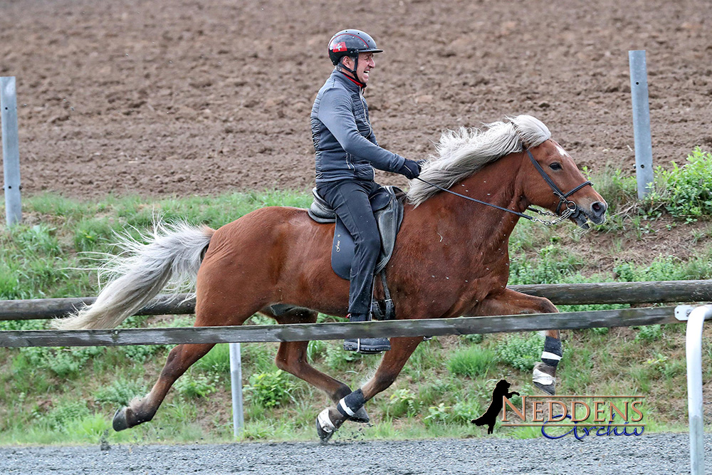 Pass-Gold: Markus, Horst, Siggi, Celina und Valerie