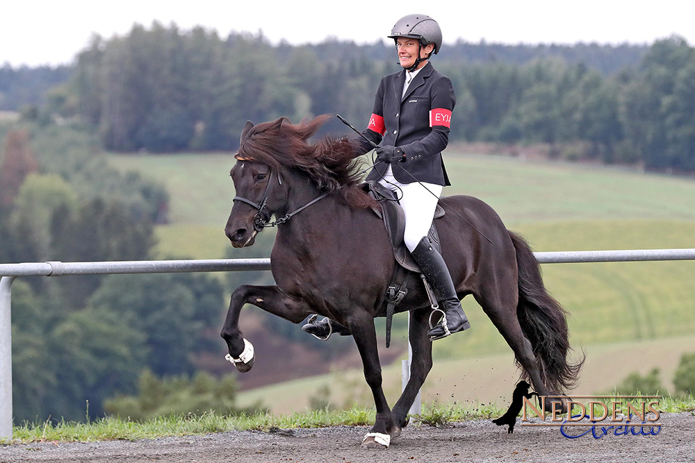 BIM: 2x Susi, Nathalie, 2x Isabella toppen Tölt