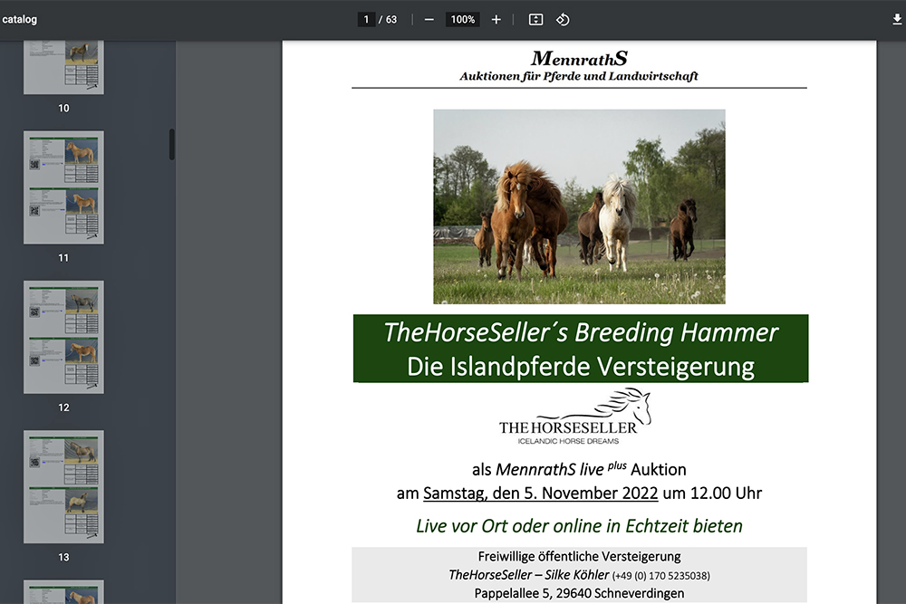 Auktion @ Bockholts-Hoff: 74 Pferde am 5. November