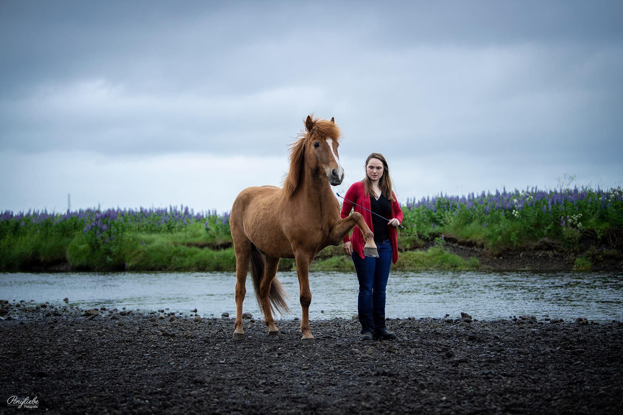 EYJA goes West: Caeli  Cavanagh, Alfadans Equestrian Arts