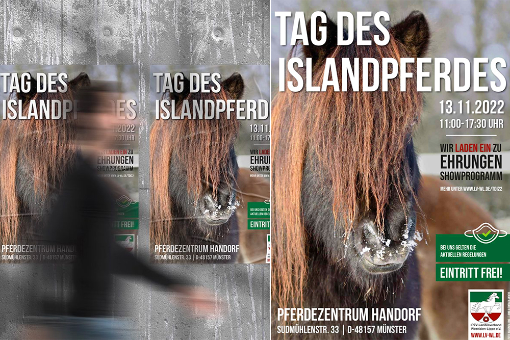 Kommt nach Handorf: Tag des Islandpferdes 13.11.