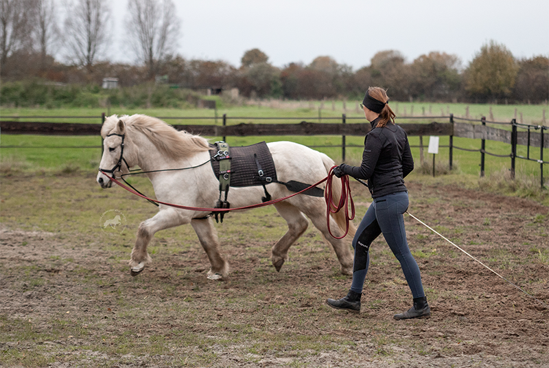 Review: EQUES Core Trainer lunging set