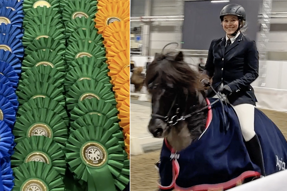 Anne Stine und Hæmir sind V1-Champs am NIHF