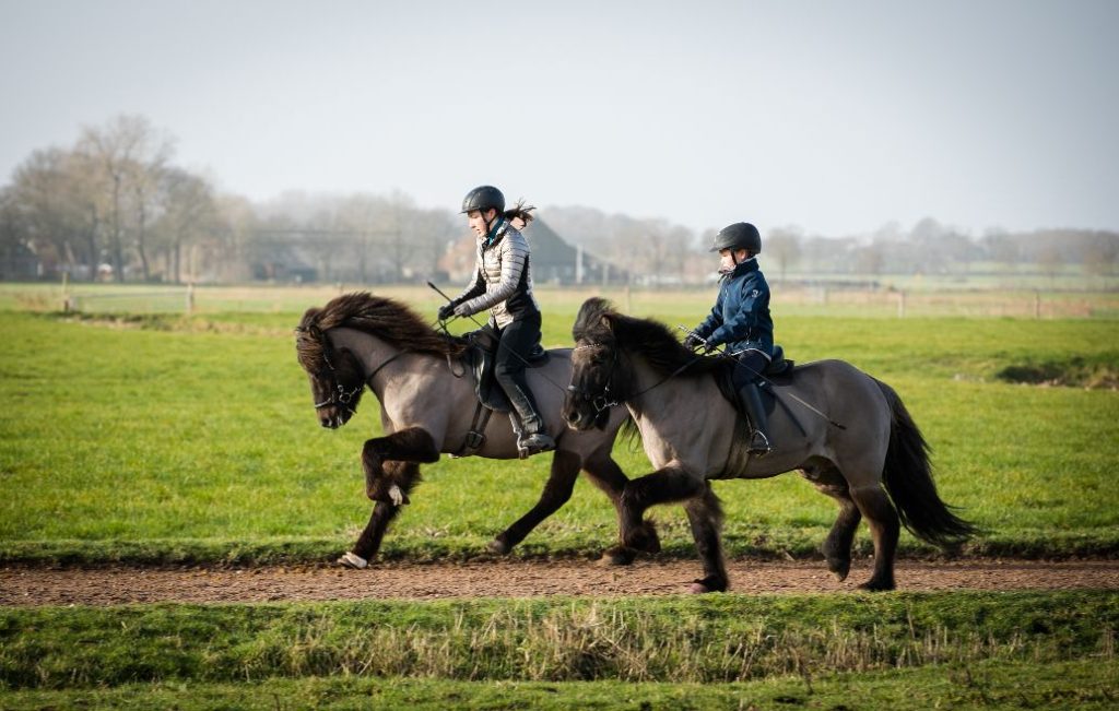 Return to Fryslân: Competition Franeker