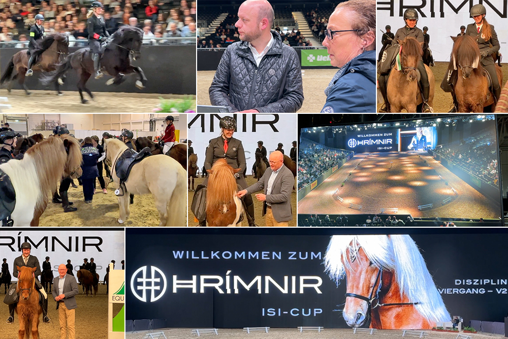 Video-Nachlese: Hrímnir Cup auf der EQUITANA