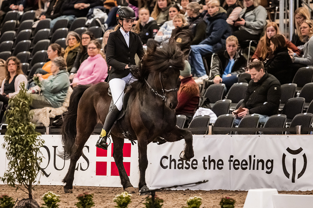 Teresa und Finja führen in T3 und T4 von Herning