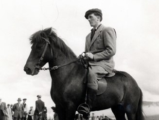 Das Erbe des reichen Jón: die Svaðastaðir-Pferde
