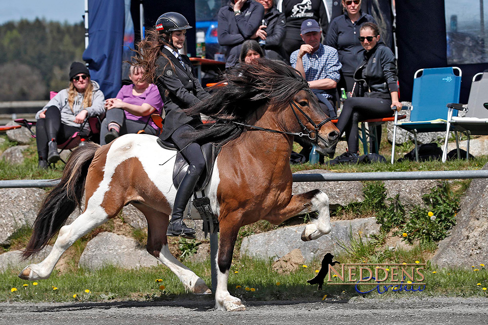 Wurzer Spitzen: Anna, Jill, Catherine, Elfa, Charlotte