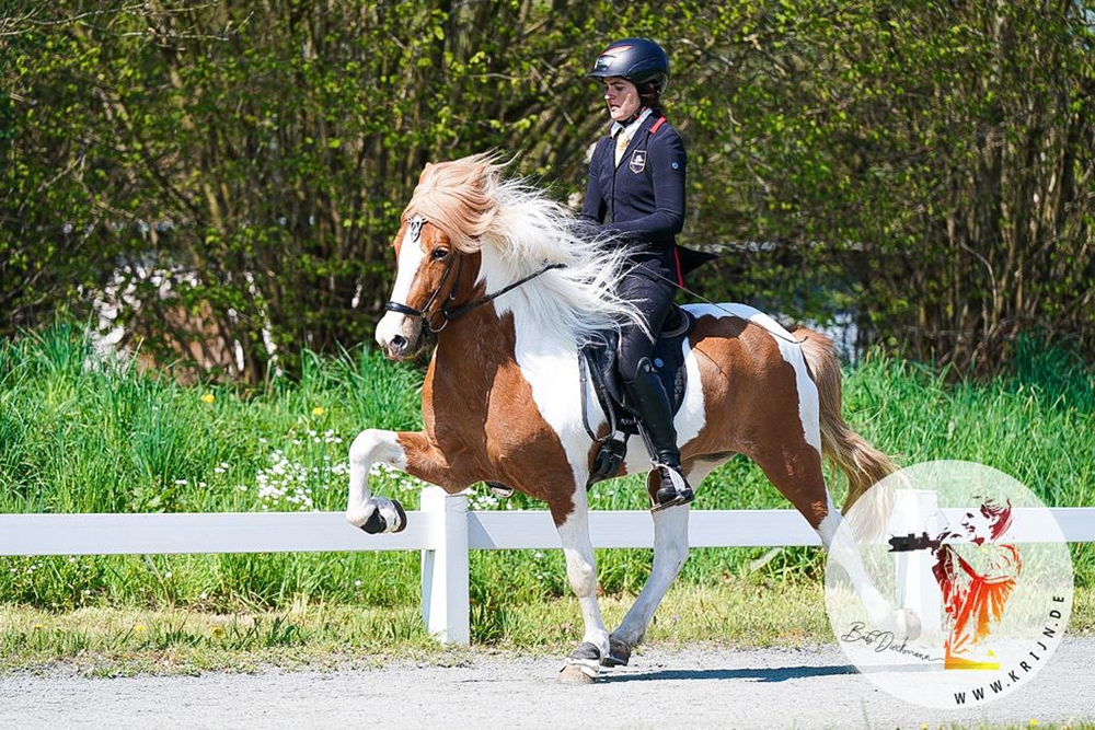 Heesberg: Johanna, Daniel, Mirja, Finja, Toya souverän