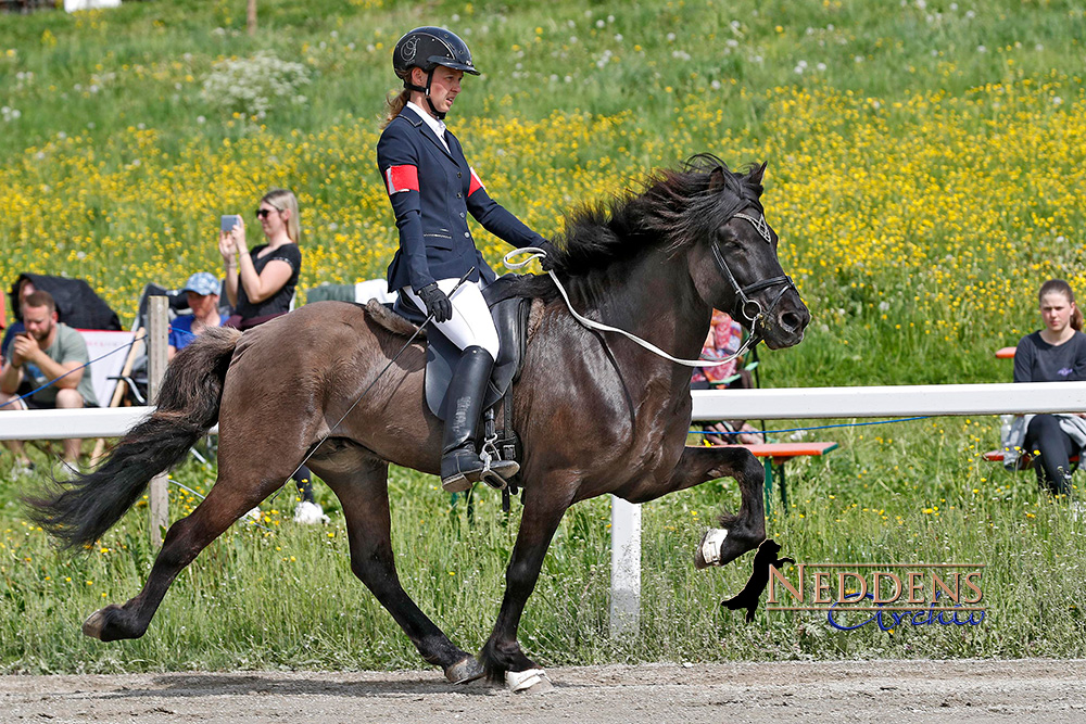 Jens & Svenja im Duell, Nina, Ann-Katrin strahlen