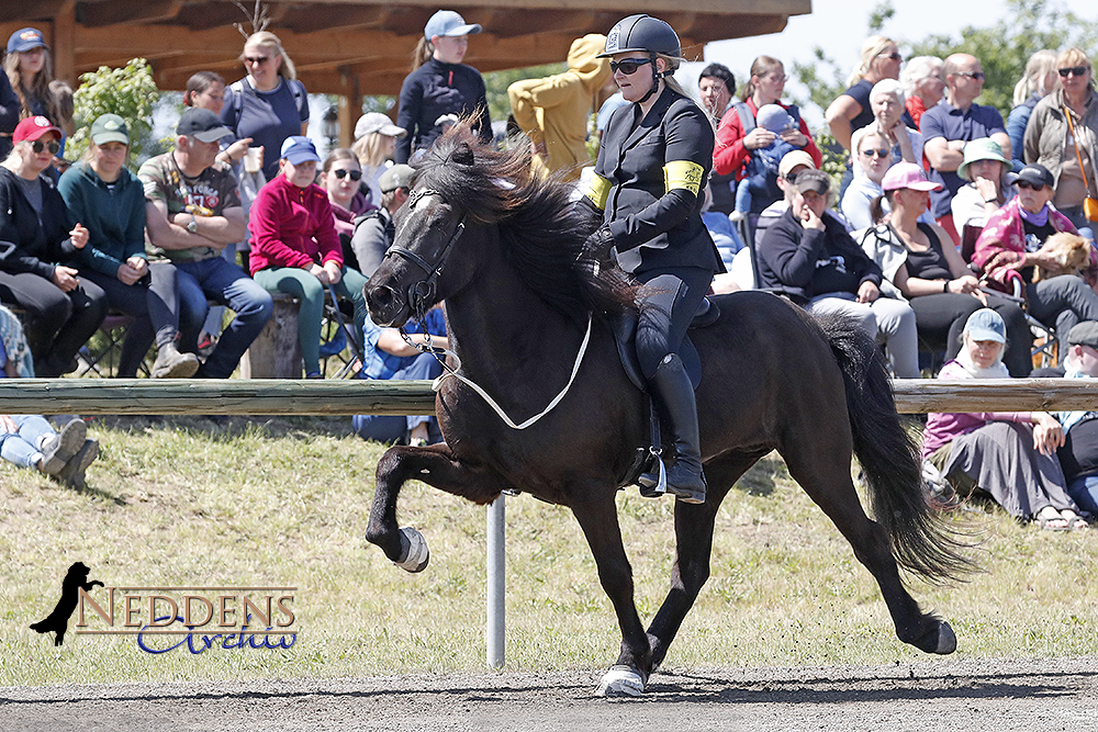 Julie und Felix sind die T2-Sieger am Kronshof