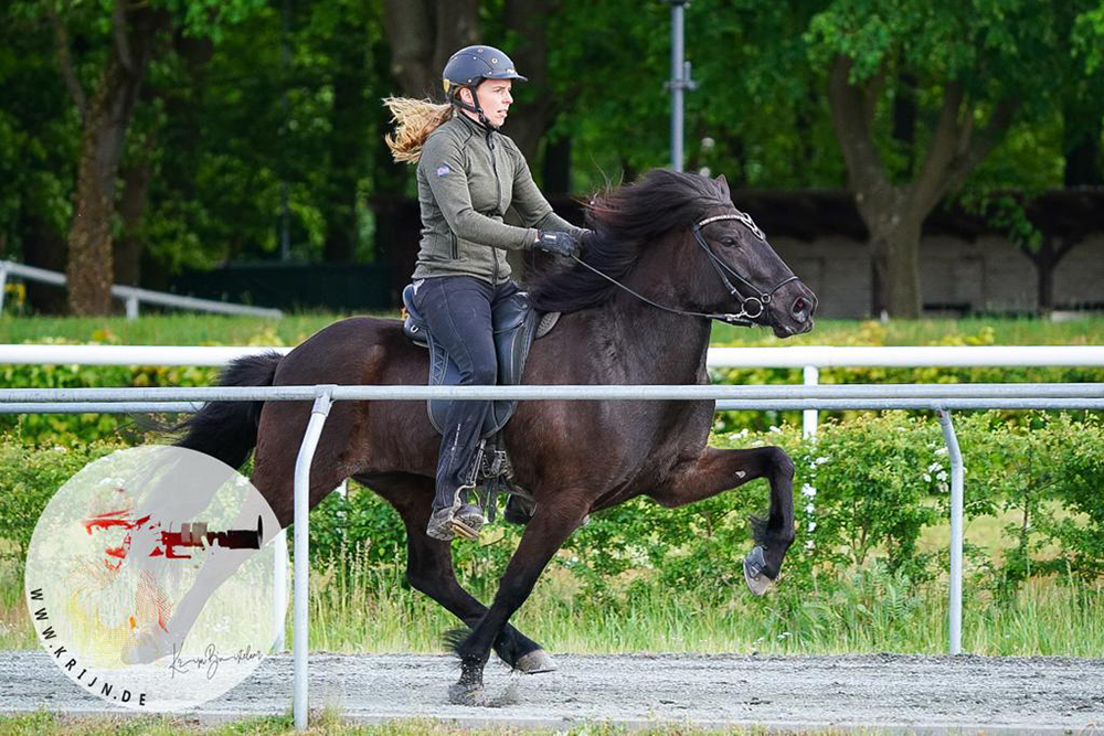 Aktueller Stand: DE-Pferde für WM-FIZO in Oirschot