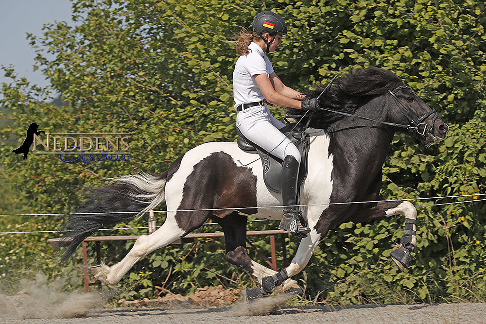 DJIM: Celina, Tabitha, Elfa gewinnen Speedpass