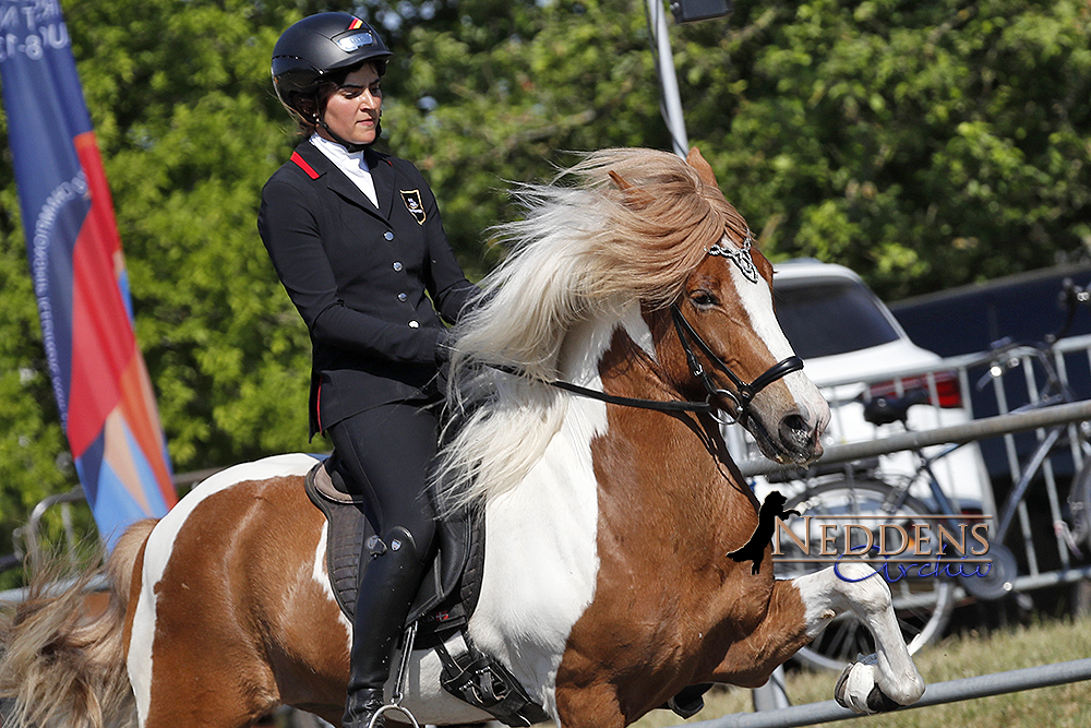 Johanna & Haukur toppen T1, Beeke & Stymmi im AF