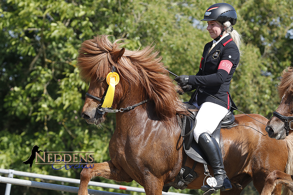 Emsländer Viergang-Gold für Lilja und Hjúpur