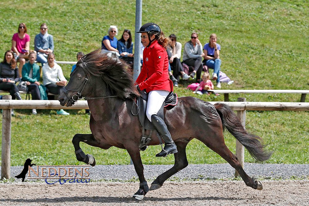 Silvia und Heljar top im Schweizer Fünfgangpreis