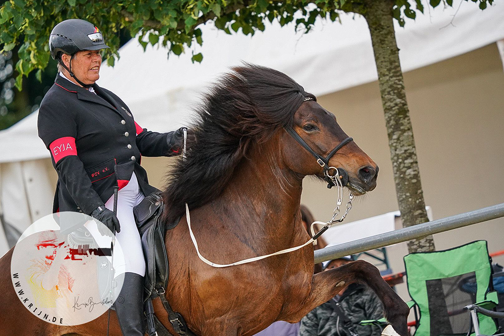 DIM: Johanna und Jolly erreichen die AFs in T1/T2