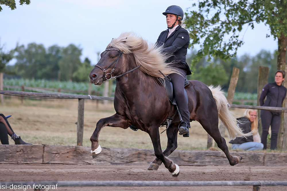 Josje, Noa, Beeke, Christa happy auf Norderheide