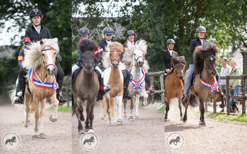 Anne-Jet, Sara, Janita, Liv, Jeanette, Rosanne & Gerbrig Noordelijke kampioenen