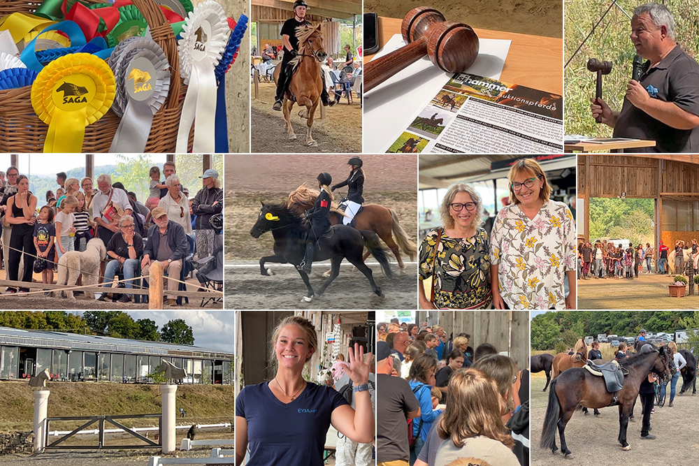 Auf zum Grenzlandhof: Sport, Auktion, Live-Musik