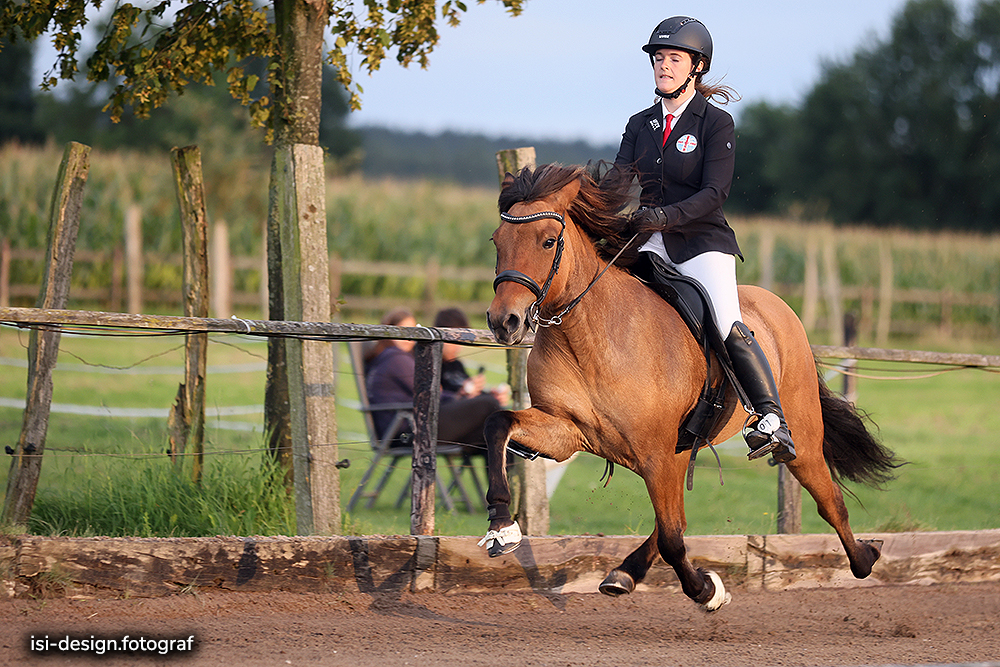 PP1-Gold im Norden für Franzi, Rosa und Lovis