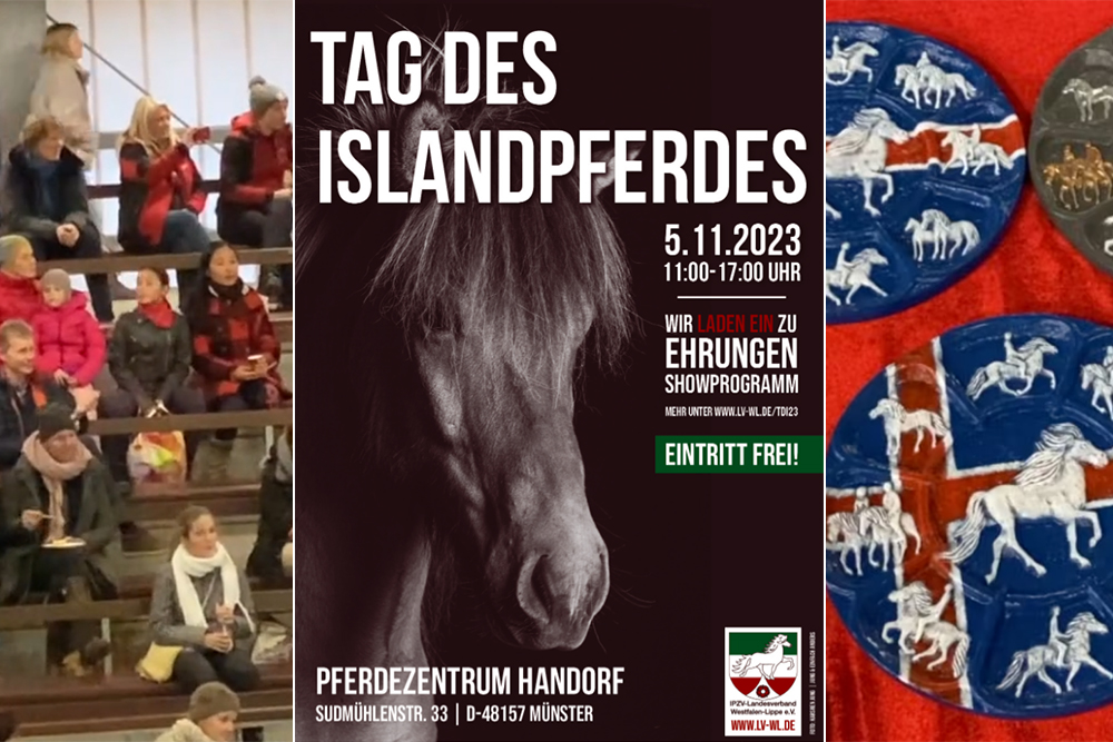 Kommt nach Handorf: Tag des Islandpferdes 5.11.