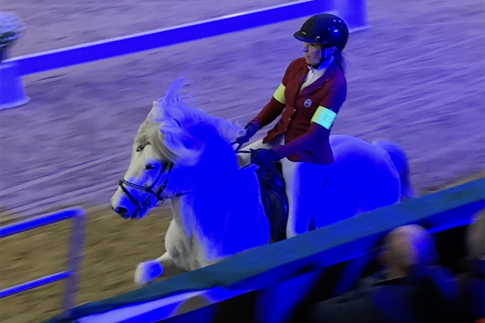 ZW: Isa, Daniel, Katrin gewinnen Festival-Finals