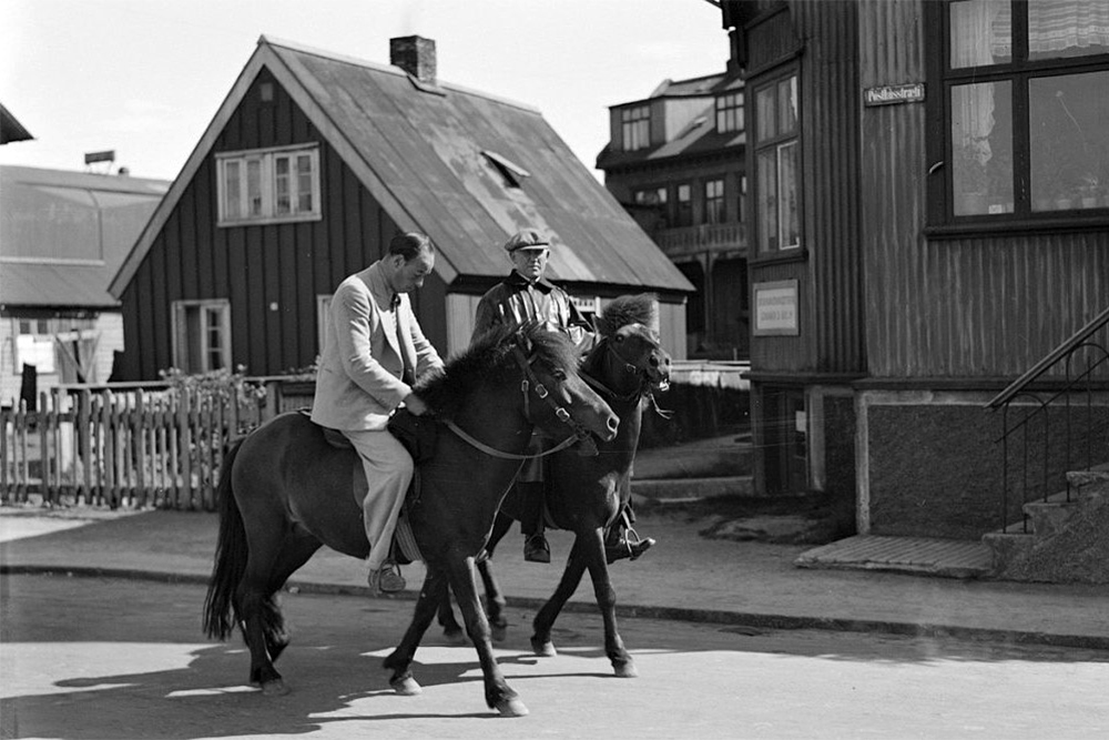 Zauberhaftes Pony: Wahrsagen für Anfänger