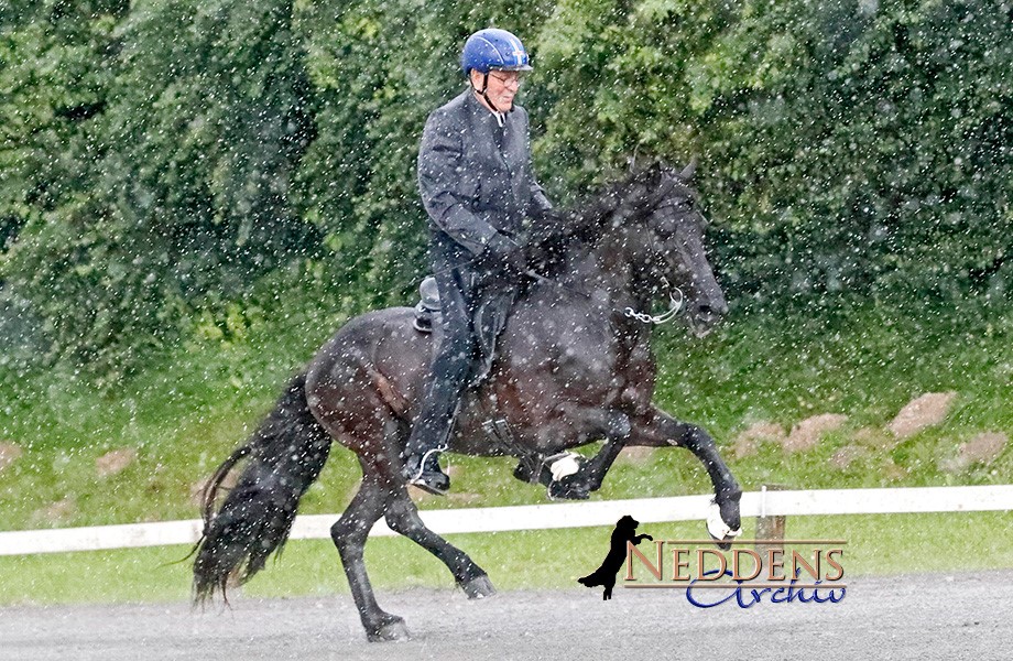 Reiten bei jedem Wetter? Ab auf‘s Ross!