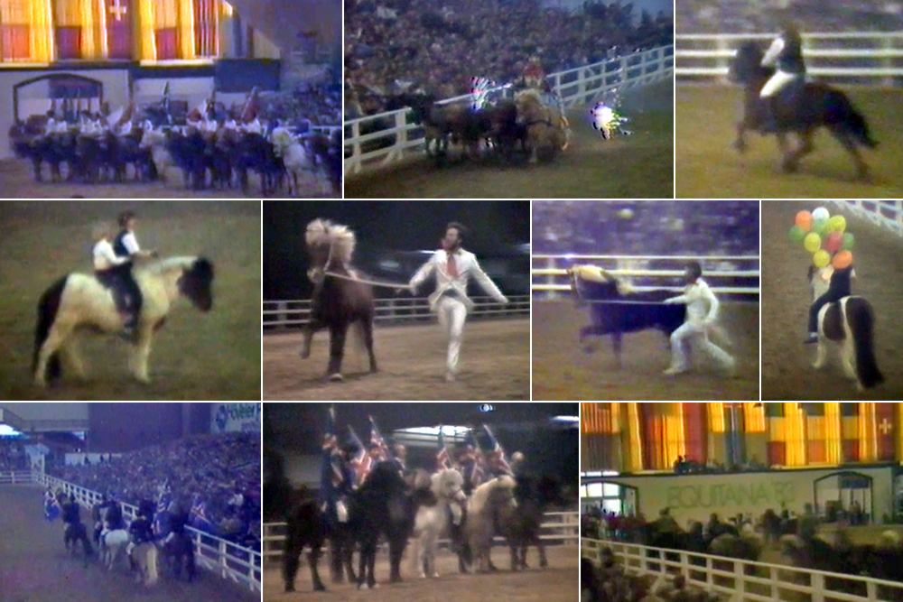 Historische Videobilder: Show der EQUITANA ’83