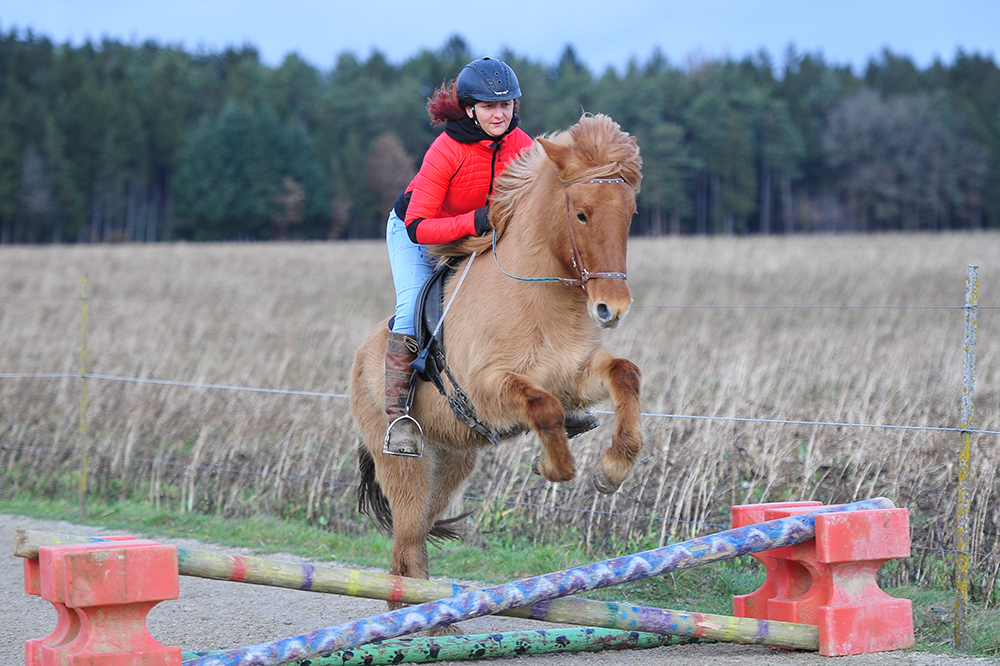 Höher, schneller, weiter? Reiten zwischen Sport & Kunst