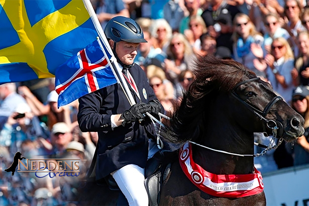 Erinnerungen an Vignir von seinem Freund Johan