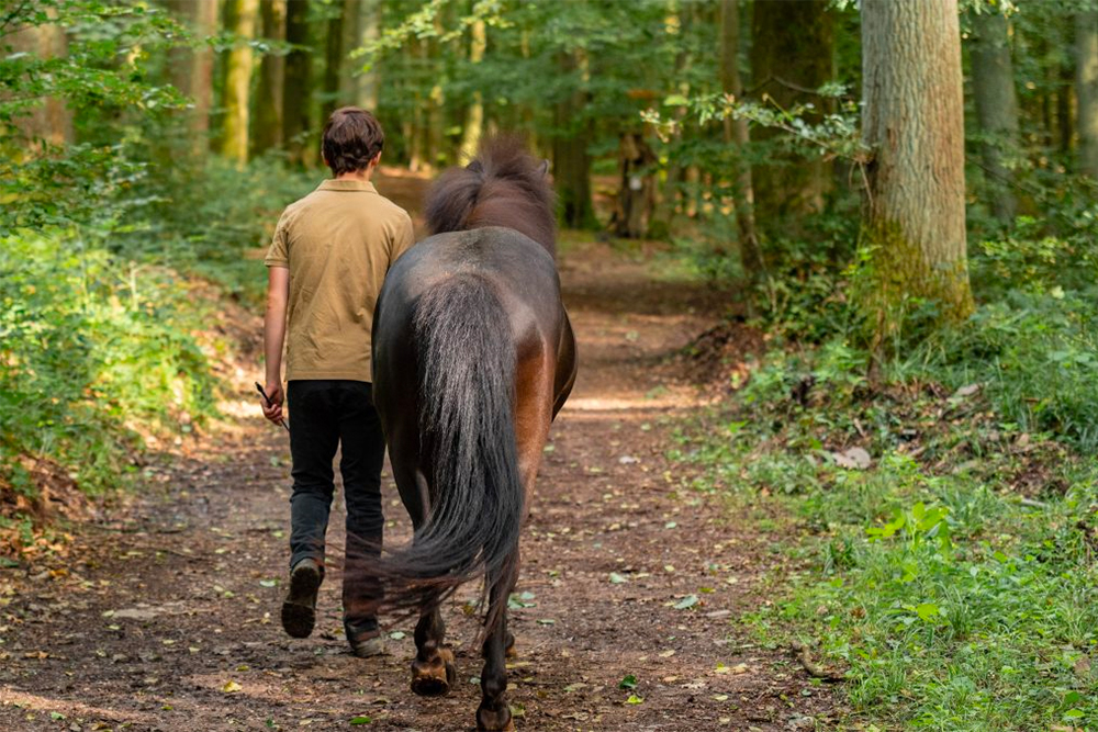 Höflichkeit schafft mehr Achtung in Wald und Feld