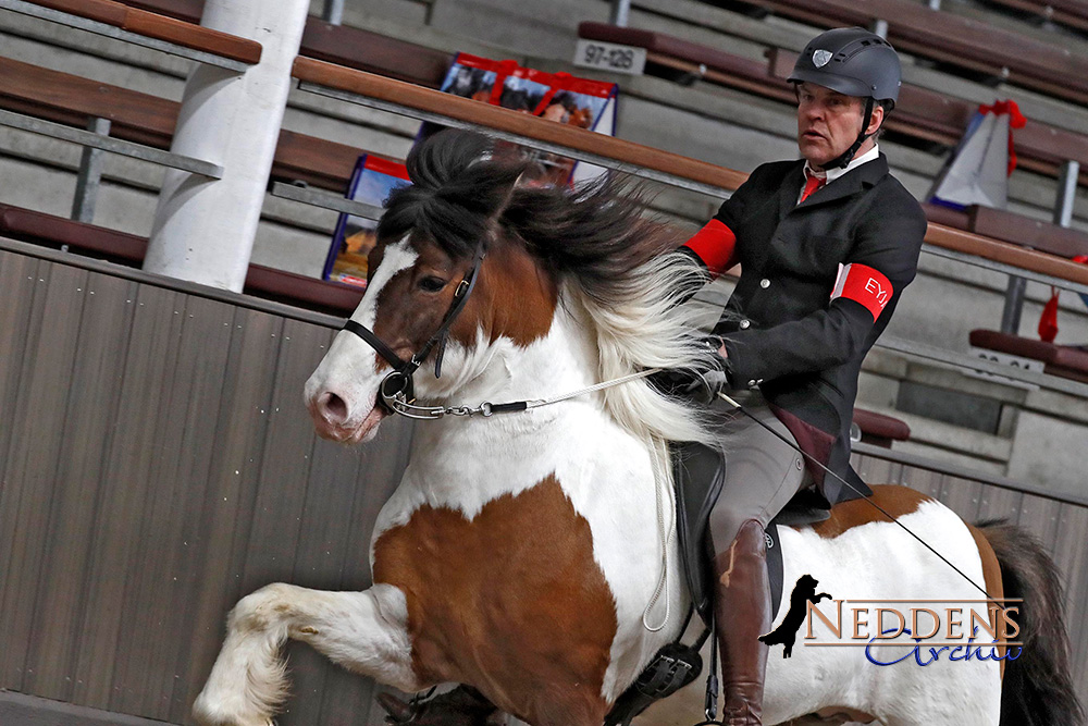 VM-Gold: Lilli, Janne, Lilith, Martin, Maria und Ludger