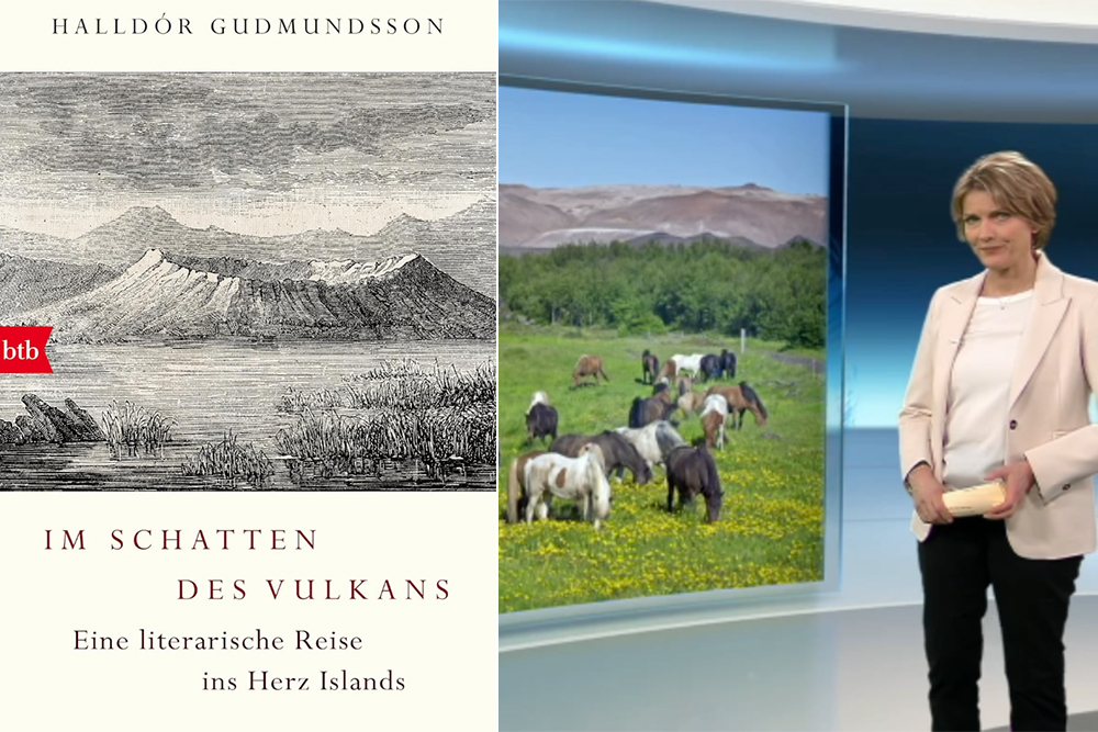 heute-journal: Neues Buch von Halldór Guðmundsson
