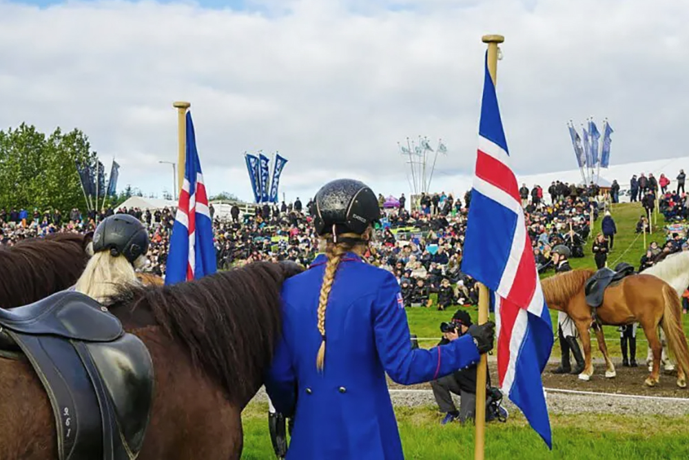 Landsmót-Zeitplan vom 1.-7. Juli in Reykjavík