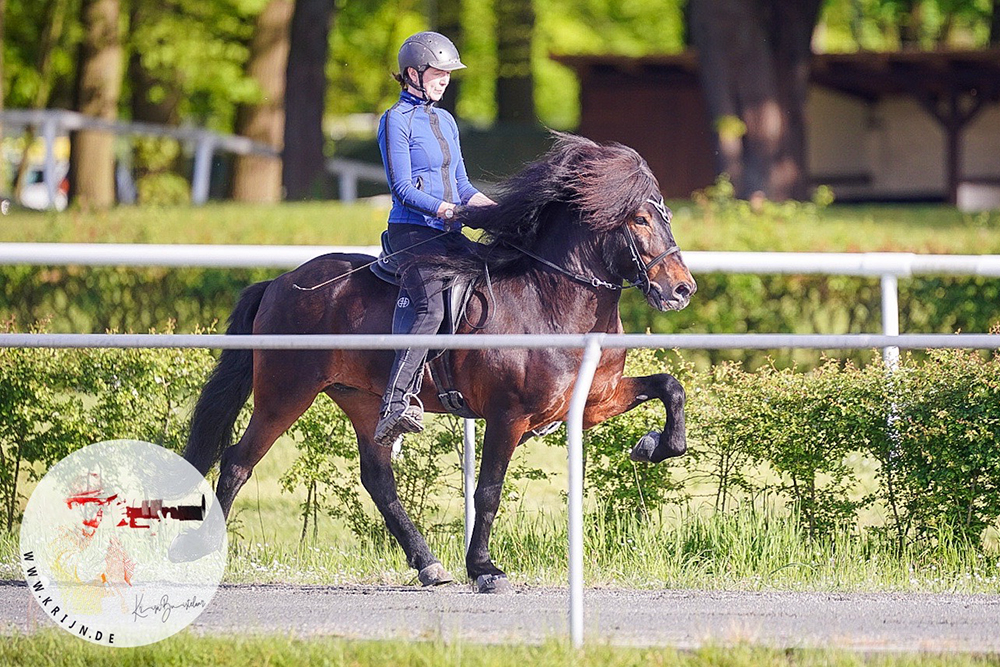 FIZO Verden: Hylur und Árelíus an Tag 1 vorn