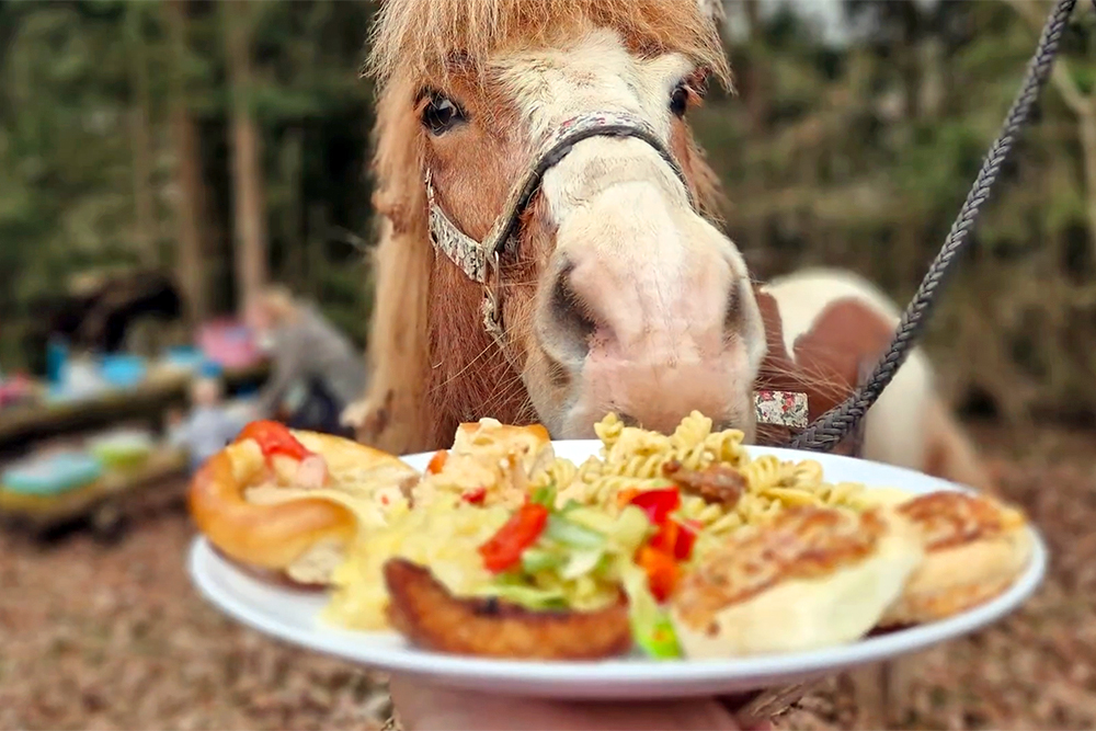 Osterritt am Lixhof: Gemütlich, taktvoll, lecker