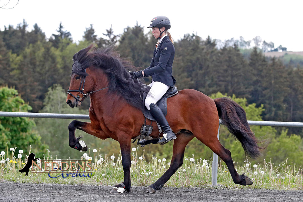 Elli und Eiður gewinnen Wurzer Wow-Viergang