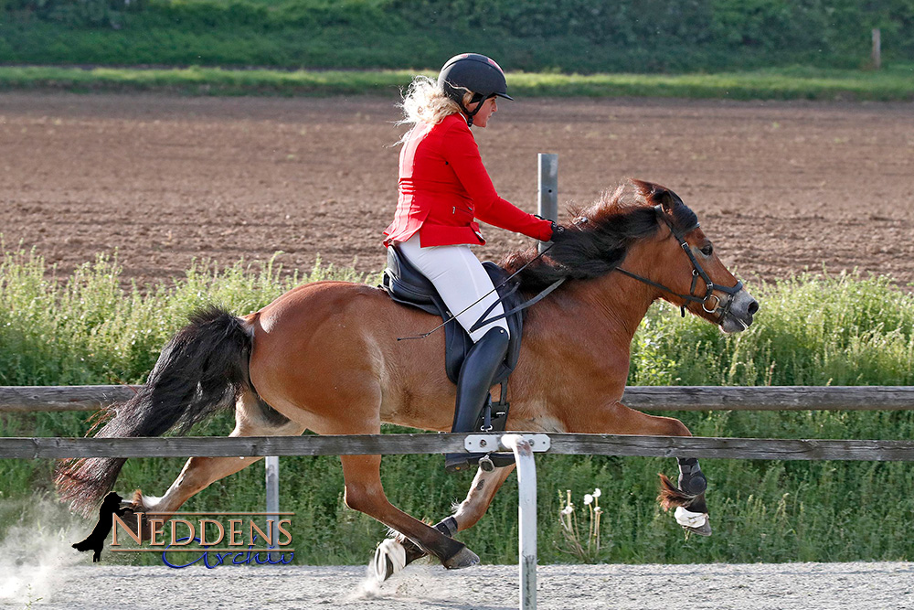 Ladina gewinnt PP1, Villi holt den Bavaria-Titel