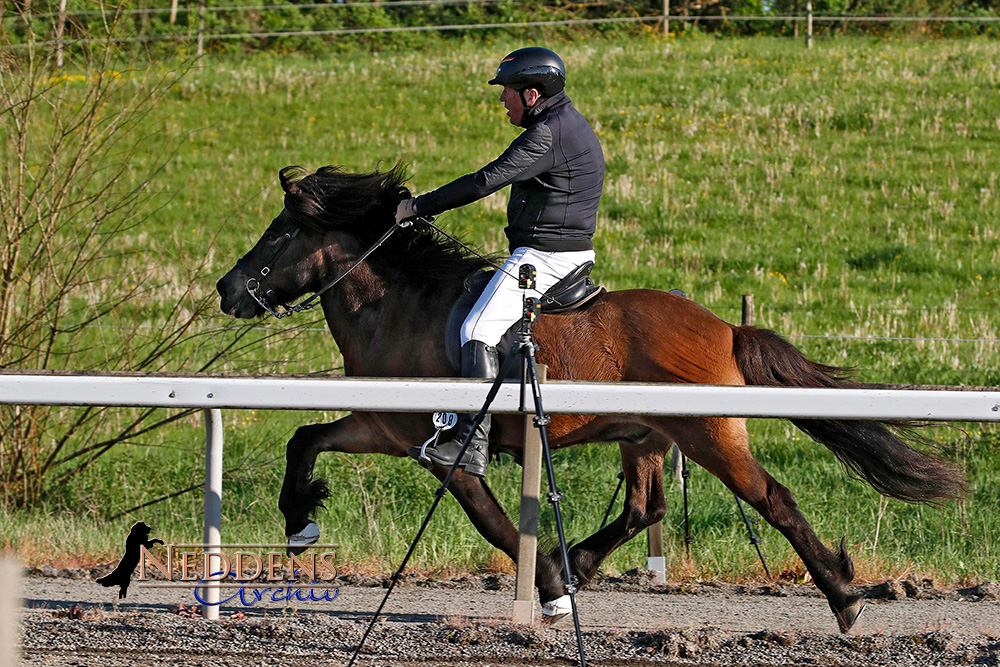 Sonnige Westpfalz-Action: Jens packt die PP1